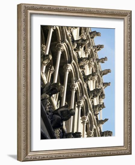 Facade with False Gargoyles, Eglise Notre-Dame, Dijon, Burgundy, France-Adam Woolfitt-Framed Photographic Print