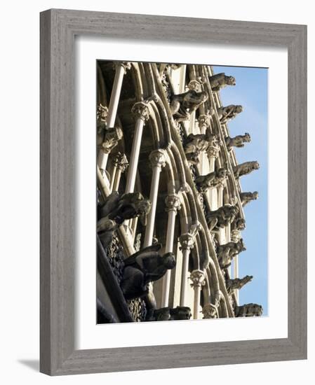 Facade with False Gargoyles, Eglise Notre-Dame, Dijon, Burgundy, France-Adam Woolfitt-Framed Photographic Print