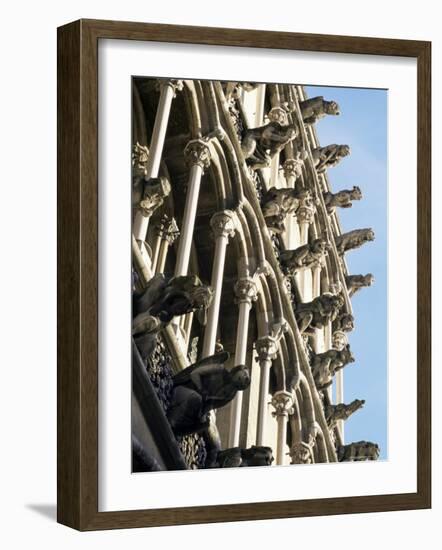 Facade with False Gargoyles, Eglise Notre-Dame, Dijon, Burgundy, France-Adam Woolfitt-Framed Photographic Print