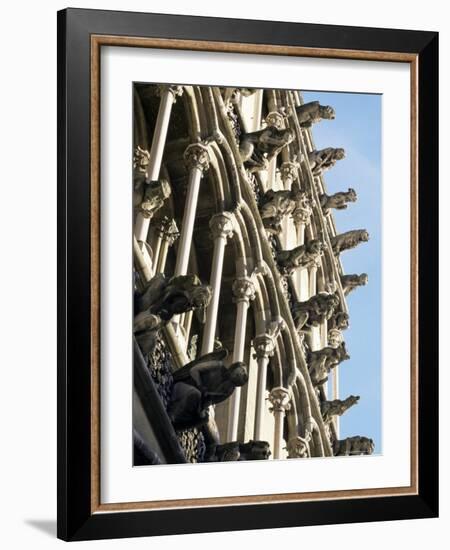 Facade with False Gargoyles, Eglise Notre-Dame, Dijon, Burgundy, France-Adam Woolfitt-Framed Photographic Print