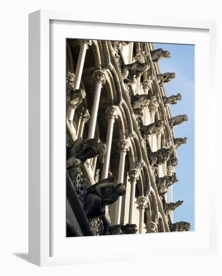 Facade with False Gargoyles, Eglise Notre-Dame, Dijon, Burgundy, France-Adam Woolfitt-Framed Photographic Print