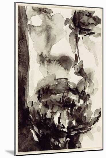 Face, 2001-Stephen Finer-Mounted Giclee Print