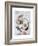 Face 5-Enrico Varrasso-Framed Premium Giclee Print