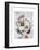 Face 5-Enrico Varrasso-Framed Premium Giclee Print