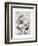 Face 5-Enrico Varrasso-Framed Art Print