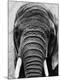 Premium Photographic Print