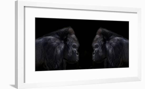 Face off silverback gorilla-Sue Demetriou-Framed Photographic Print