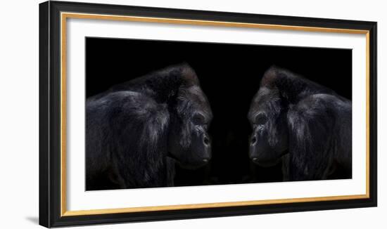 Face off silverback gorilla-Sue Demetriou-Framed Photographic Print