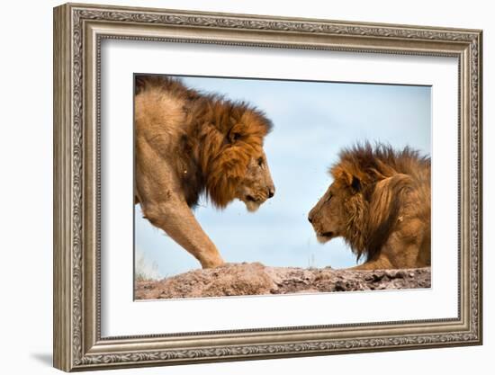 Face to Face-null-Framed Art Print