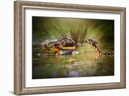 Face to Face-Shikhei Goh-Framed Photographic Print