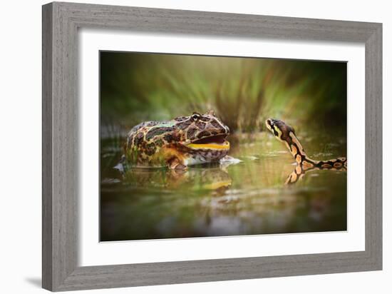 Face to Face-Shikhei Goh-Framed Photographic Print