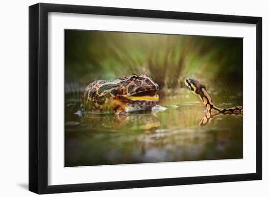 Face to Face-Shikhei Goh-Framed Photographic Print