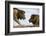 Face to Face-Tamir Bibi-Framed Photographic Print