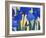 Faceted Irises-John Newcomb-Framed Giclee Print