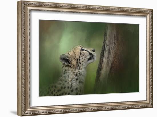 Facing Challenges-Jai Johnson-Framed Giclee Print