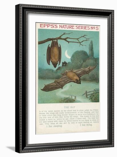 Facts About Bats-null-Framed Art Print