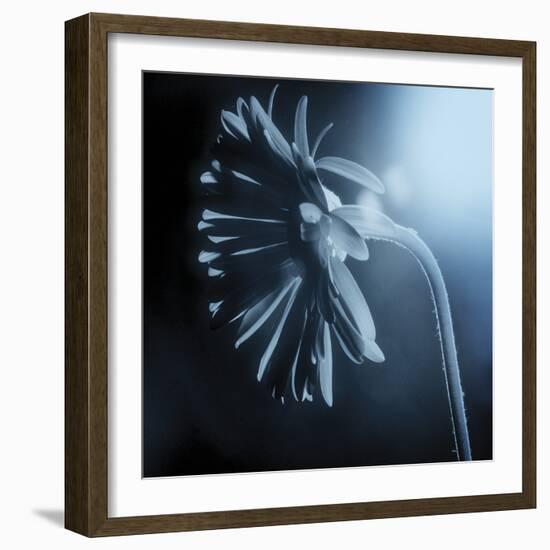 Fade To Blue-Andreas Stridsberg-Framed Giclee Print