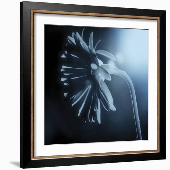 Fade To Blue-Andreas Stridsberg-Framed Giclee Print