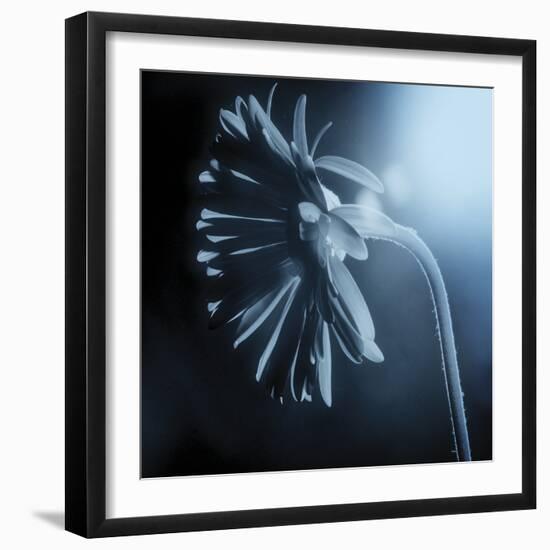 Fade To Blue-Andreas Stridsberg-Framed Giclee Print