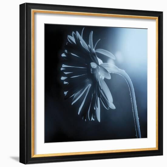 Fade To Blue-Andreas Stridsberg-Framed Giclee Print