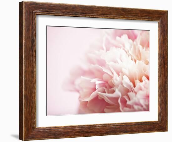 Fade to Pink-Doug Chinnery-Framed Premium Photographic Print