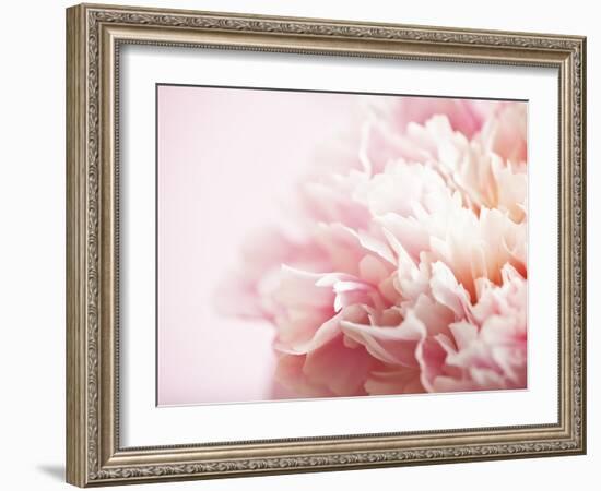Fade to Pink-Doug Chinnery-Framed Photographic Print