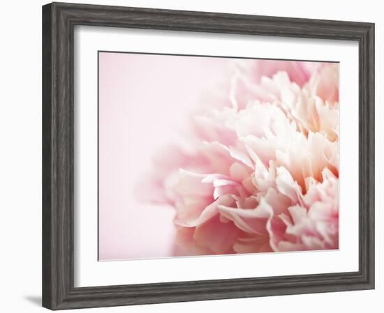 Fade to Pink-Doug Chinnery-Framed Photographic Print