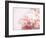 Fade to Pink-Doug Chinnery-Framed Photographic Print