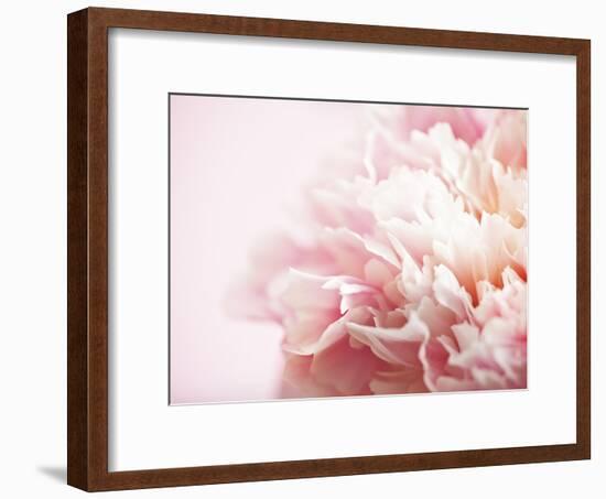 Fade to Pink-Doug Chinnery-Framed Photographic Print