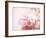 Fade to Pink-Doug Chinnery-Framed Photographic Print