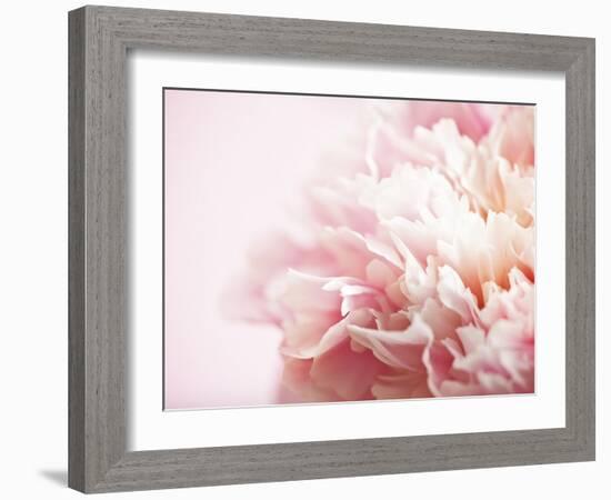 Fade to Pink-Doug Chinnery-Framed Photographic Print