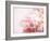 Fade to Pink-Doug Chinnery-Framed Photographic Print