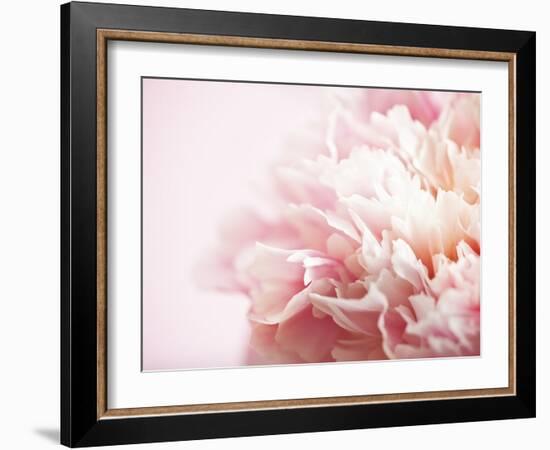 Fade to Pink-Doug Chinnery-Framed Photographic Print