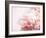 Fade to Pink-Doug Chinnery-Framed Photographic Print