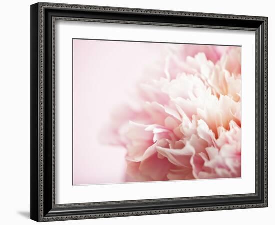 Fade to Pink-Doug Chinnery-Framed Photographic Print