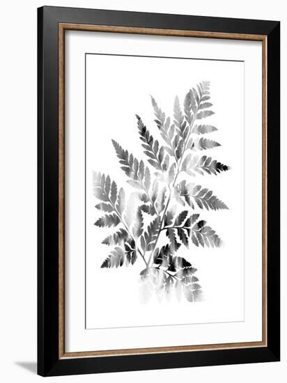 Faded Fern-Sheldon Lewis-Framed Art Print