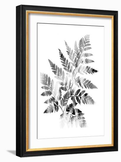 Faded Fern-Sheldon Lewis-Framed Art Print