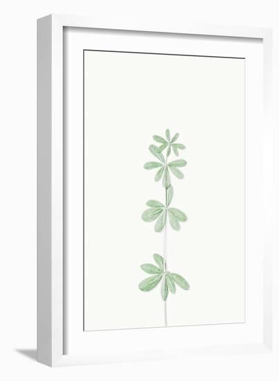 Faded Fronds - Solo-Irene Suchocki-Framed Giclee Print