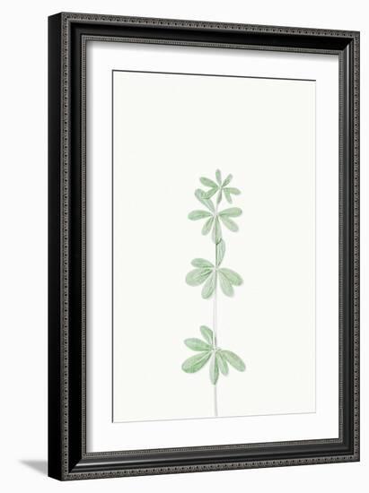 Faded Fronds - Solo-Irene Suchocki-Framed Giclee Print