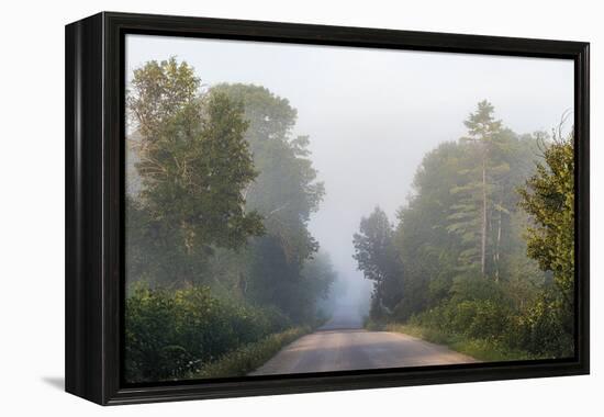 Faded Path-Mike Toy-Framed Stretched Canvas