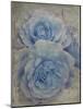 Faded Roses-Collezione Botanica-Mounted Giclee Print