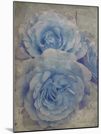 Faded Roses-Collezione Botanica-Mounted Giclee Print