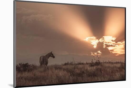 Faded Sunset-Nathan Larson-Mounted Photographic Print