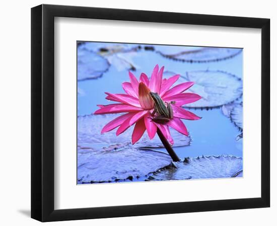 Photographic Print, , large