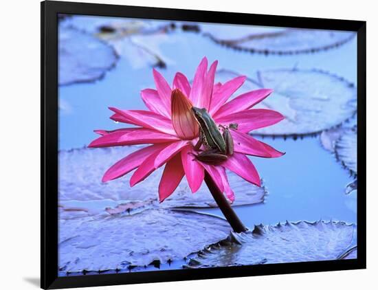 Photographic Print, , large