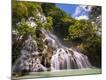 Photographic Print