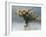 fading bouquet-Ala Pneuma-Framed Photographic Print