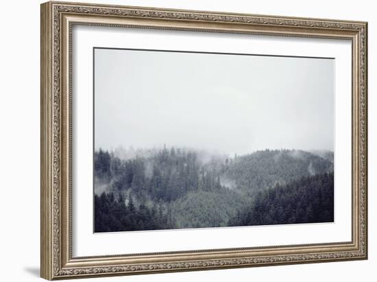 Fading Forest-Irene Suchocki-Framed Giclee Print