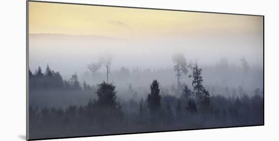 Fading Mists-Andreas Stridsberg-Mounted Giclee Print