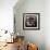 Fado Singer in Portuguese Night Club, 1946-null-Framed Photo displayed on a wall